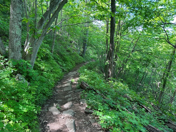 Appalachian Trail 