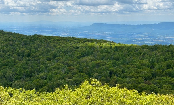 Shenandoah National Park