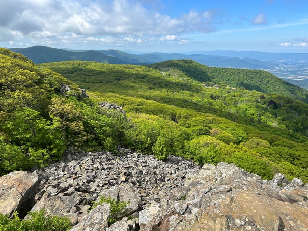 Stony Man Mountain