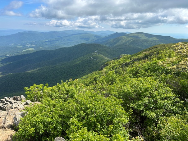 Stony Man Mountain