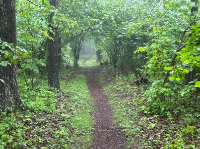 hiking shenandoah