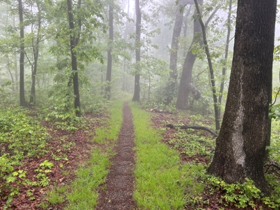 hiking shenandoah