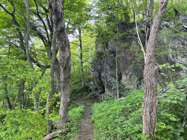 Shenandoah National Park