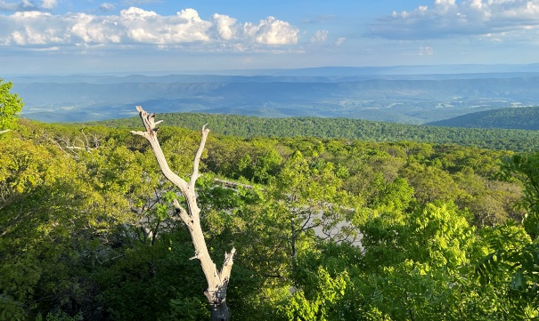 Shenandoah National Park