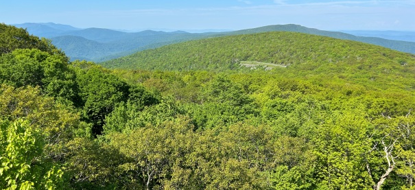 Shenandoah National Park