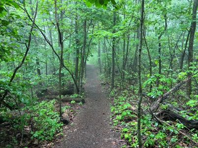 hiking shenandoah