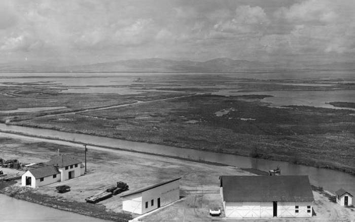 Bear River Migratory Bird Refuge