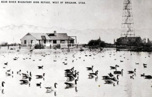 Bear River Migratory Bird Refuge