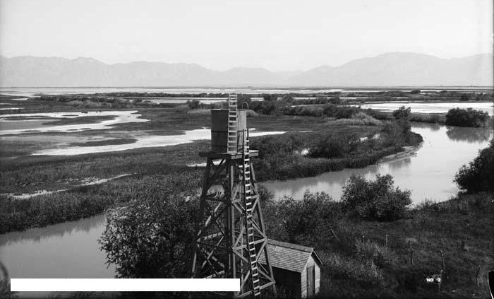 Bear River Migratory Bird Refuge