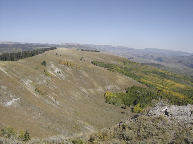 wolf creek peak