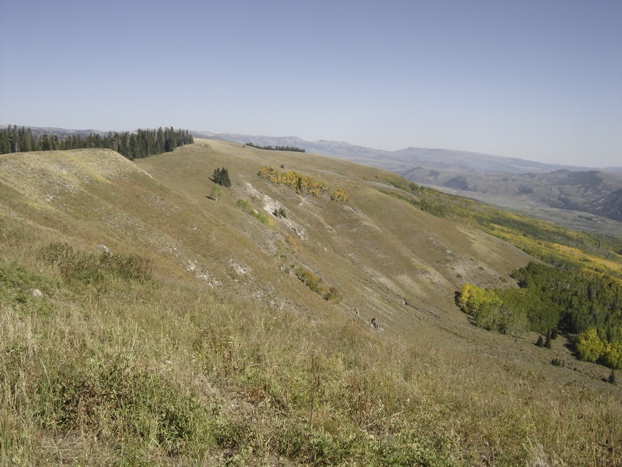 wolf creek peak