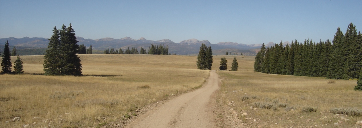 wolf creek peak