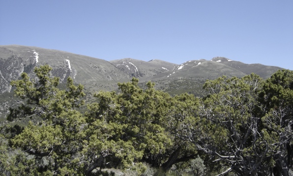 onaqui mountains