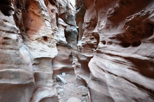 Wildhorse Canyon