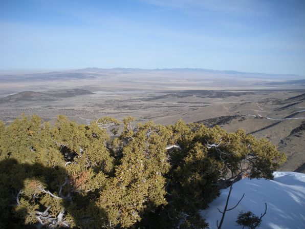 Cedar Range in the far distance 