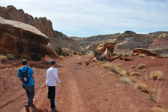 road from Wild Horse Canyon