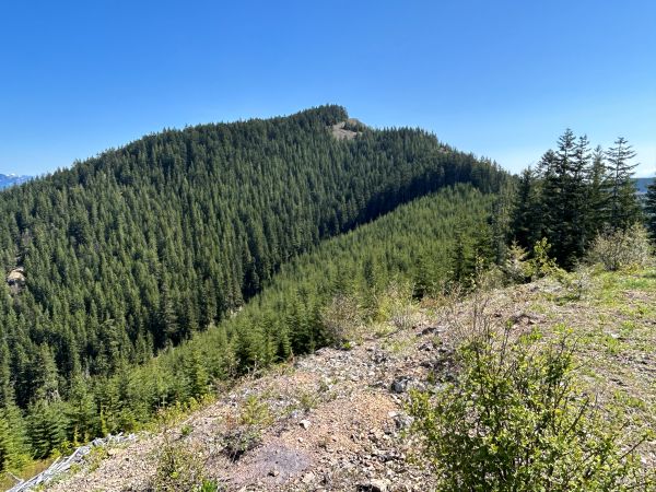 Kelly Butte