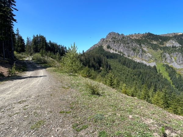 Kelly Butte