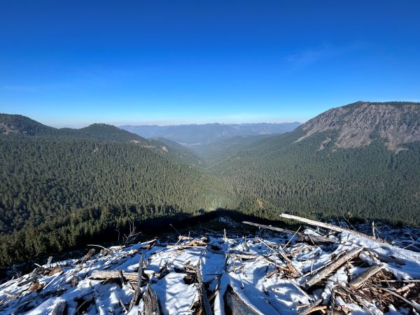 logging landing