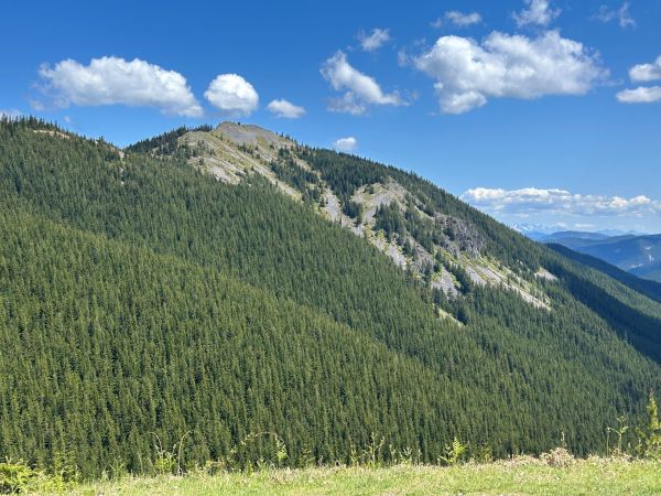 Sawmill Ridge