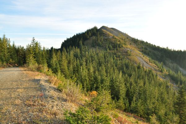 Sawmill Ridge