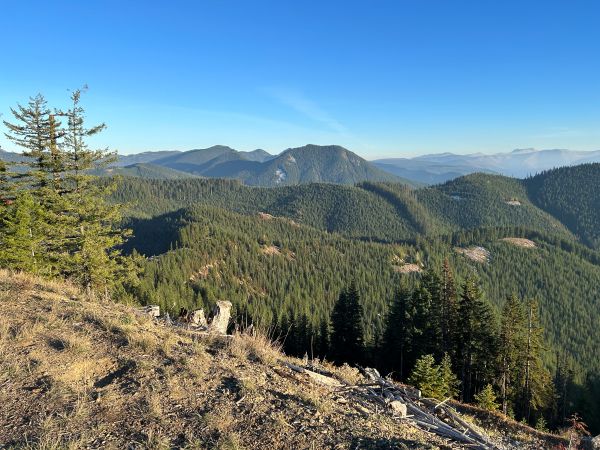washington state