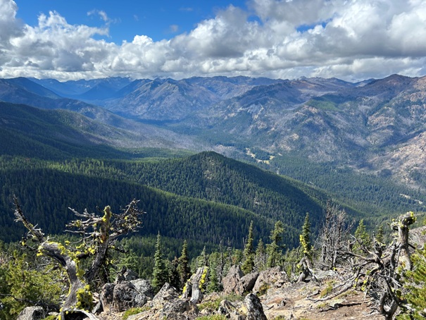 American River Valley 