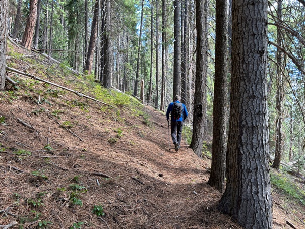 Goat Peak Trail