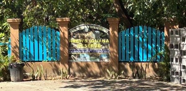 Iguana Reserve