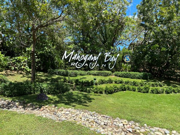 mahogany bay