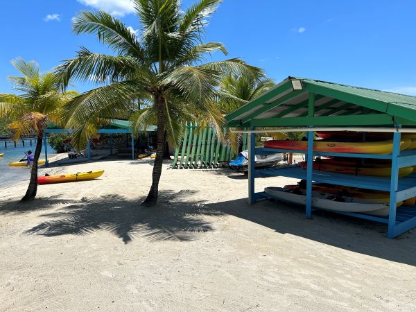 mahogany bay