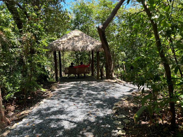 mahogany bay