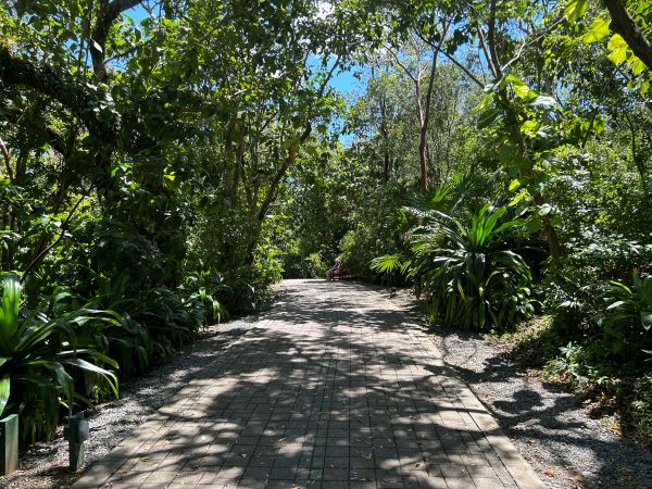 mahogany bay