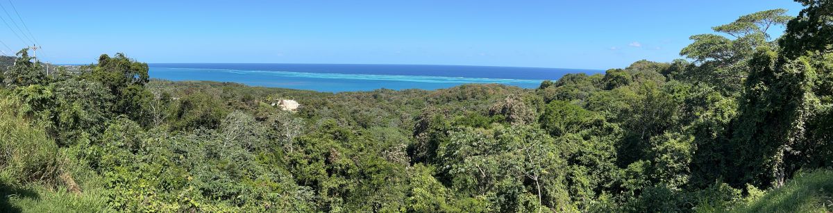 roatan view